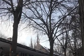 Opuszczone budynki szpitala psychiatrycznego srebrniki, Gdańsk