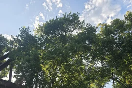 Opuszczony most kolejowy