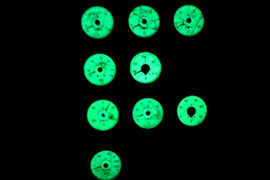 Bunkier JW 2464 BARS 201, Przywary