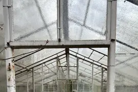 Opuszczone szklarnie