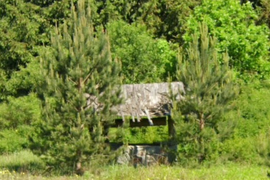 studnia opuszczona
