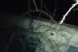 Stacja Łączności Niejawnej ROKADA