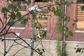 Oddział chirurgiczno-ortopedyczny, Katowice