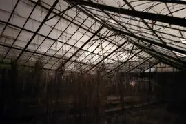 Opuszczone szklarnie w Zduńskiej Woli