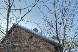 Opuszczone Gospodarstwo