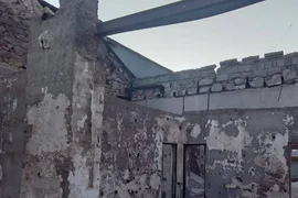 końcówka trans-andyjskiej wąsko torówki