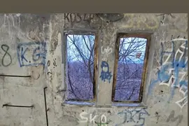 Miodownik