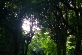 Sanatorium MSW w Barcinku