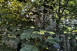 Opuszczony dom