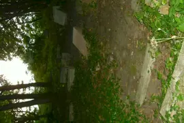 Zrujnowany cmentarz, Gdańsk Wrzeszcz