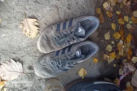 Warszawskie zakłady zbożowe