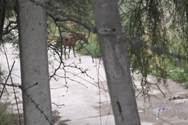 Opuszczony zakład z magazynem