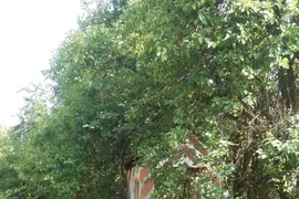 Baza Wojskowa Kompani Radiotechnicznej., Kotla