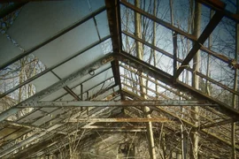 Opuszczone szklarnie