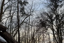 Bunkier przy rowie przeciwpancernym