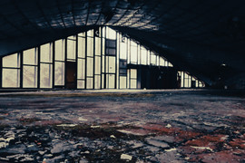 Hala Targowa na skraju Parku Śląskiego