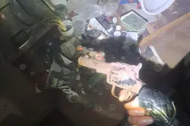 Opuszczony dom, Dzierdziówka