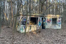 Szkółka roślin ozdobnych