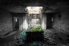 Mauzoleum rodziny Cohenów.