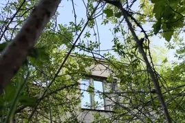 Budynek