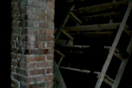 Zieleń Miejska, Opole