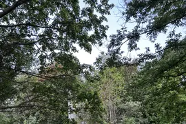 Fort M "Mokotów"