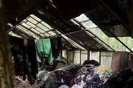Wielka melina w starej działce