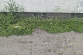 Opuszczone mieszkanie w idealnym stanie.