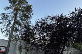 Night Club Maxim, Gdynia