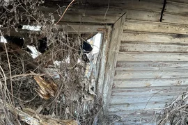 Opuszczony drewniany dom