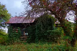 Dom z filmu "dom zły"