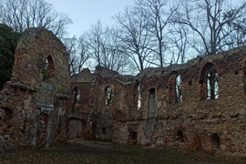 Stary Książ