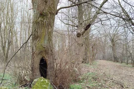 Dworek - Rudna Wielka