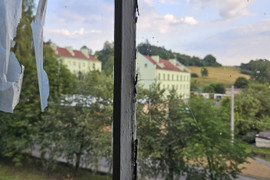 ZPJ Dolwis