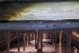 Opuszczona stajnia, Gorzyce