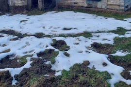 Opuszczony dom w środku lasu