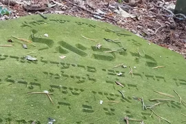 Opuszczony Cmentarz Żydowski , Niezdrowice