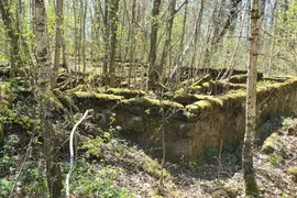 Opuszczona leśniczówka