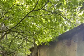 Opuszczony budynek