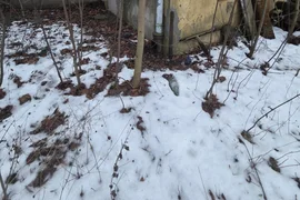 Opuszczona Hurtownia Tytoniu, Łódź