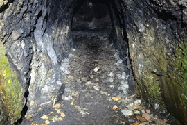 Kawerna Pychowice II i III