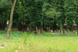 Cmentarz żydowski