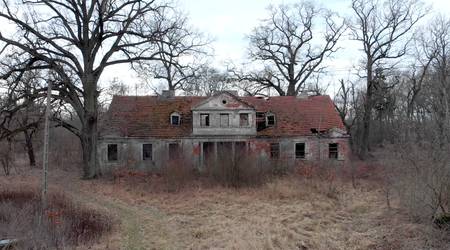 Dwòr w wistkach kròlewskich