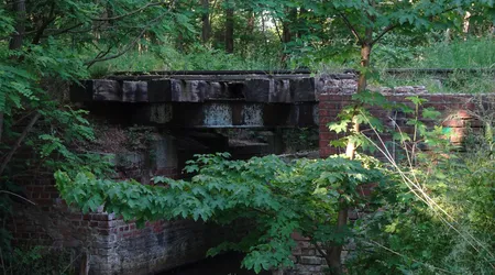 Stacja kolejowa trzciel