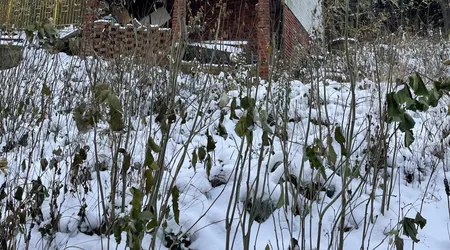 Opuszczony dom letniskowy