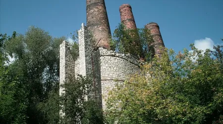 Wapiennik bordowicza