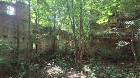 Ruiny browaru i gorzelni - dukla