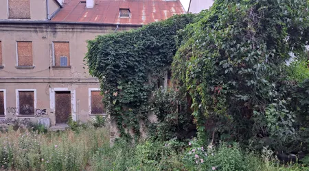 Opuszczona kamienica