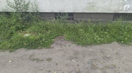 Opuszczone mieszkanie w idealnym stanie.