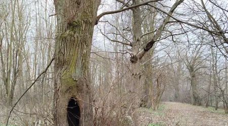 Dworek - rudna wielka